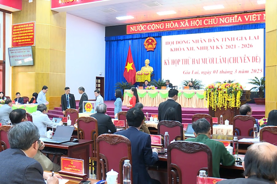 Tỉnh Gia Lai giảm từ 19 xuống còn 13 cơ quan chuyên môn