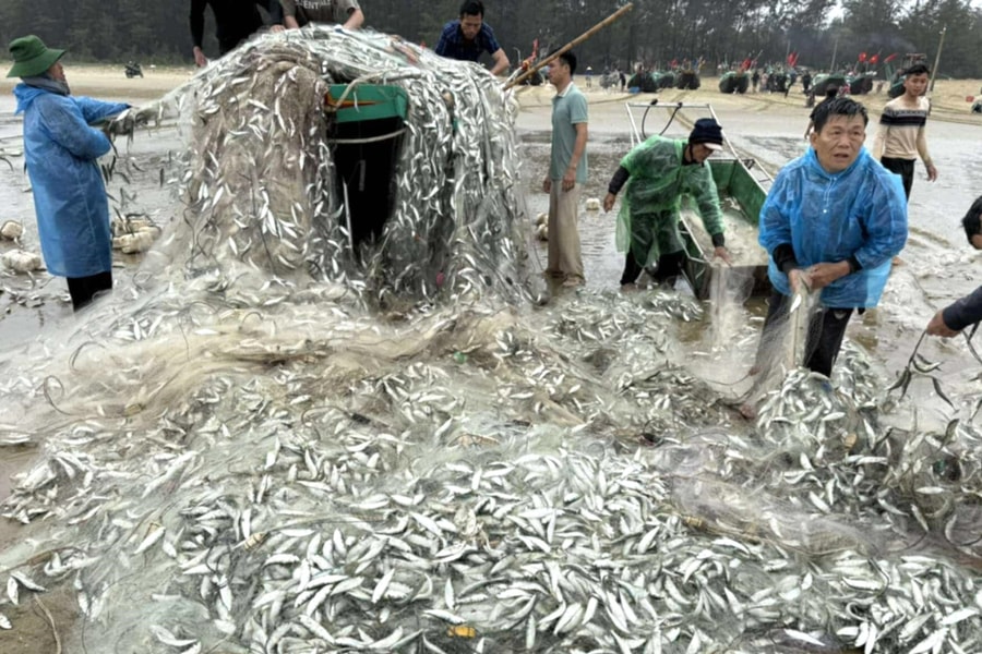 Ngư dân Hà Tĩnh trúng đậm 1,5 tấn cá trích nhưng gặp nạn trên biển