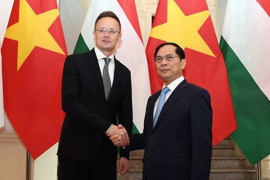 Khuyến khích doanh nghiệp Hungary đẩy mạnh đầu tư vào Việt Nam