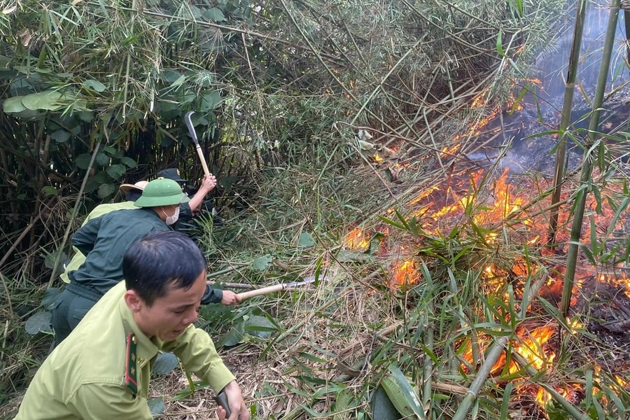 Thủ tướng yêu cầu khắc phục nhanh hậu quả vụ cháy rừng tại xã Hoàng Khai, tỉnh Tuyên Quang