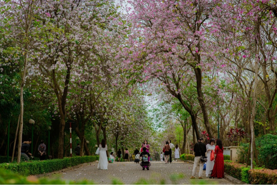 Giới nhiếp ảnh gia làm sôi động dịch vụ chụp ảnh “12 mùa hoa” cho các chị em