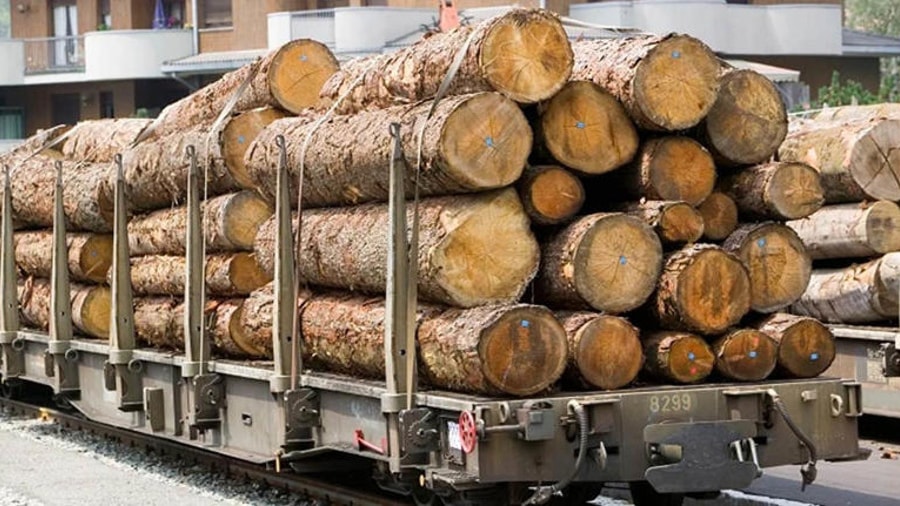 Ba Lan chặn xuất khẩu gỗ Ukraine
