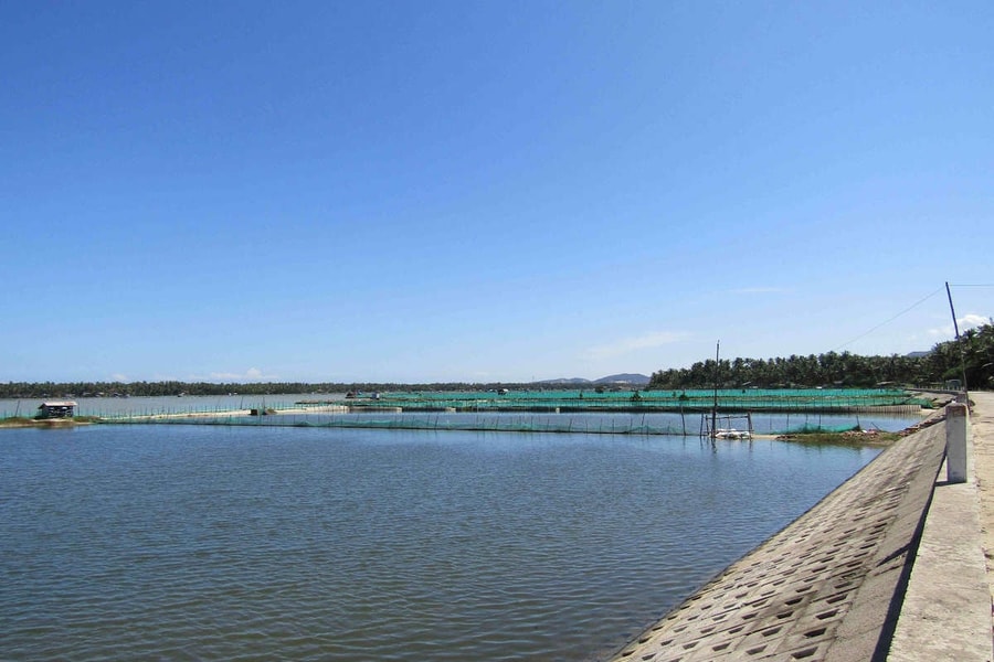 Phú Yên: Mời thầu 186 tỷ đồng cho dự án kè chống xói lở Đầm Cù Mông giai đoạn 2