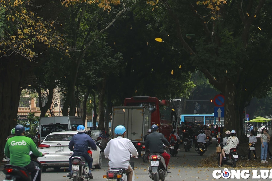 Hà Nội: Thí điểm điều chỉnh giao thông trên phố Hoàng Hoa Thám, Ngọc Hà