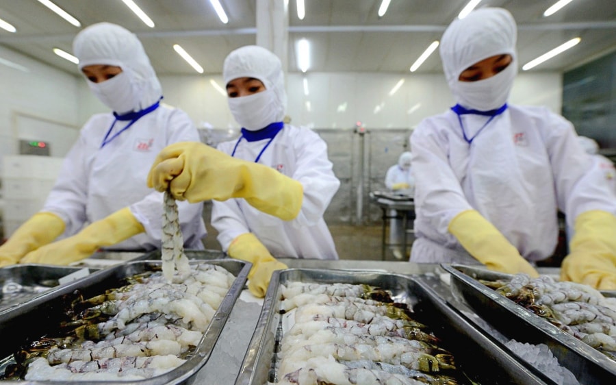 Sao Ta (FMC) đặt mục tiêu lợi nhuận 2025 giảm nhẹ còn 420 tỷ đồng, thận trọng trước sức ép kiện tụng tại Mỹ