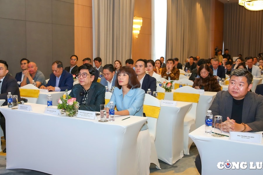 Thúc đẩy hệ sinh thái quảng cáo số Việt Nam