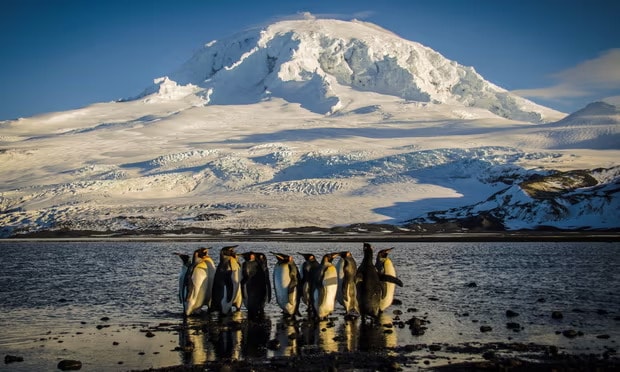 Ông Trump áp thuế lên hòn đảo không người, không xuất khẩu thứ gì sang Mỹ