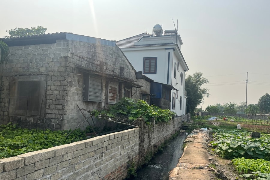 Cần xử lý dứt điểm vi phạm đất đai, xây dựng khu vực cánh đồng Thường