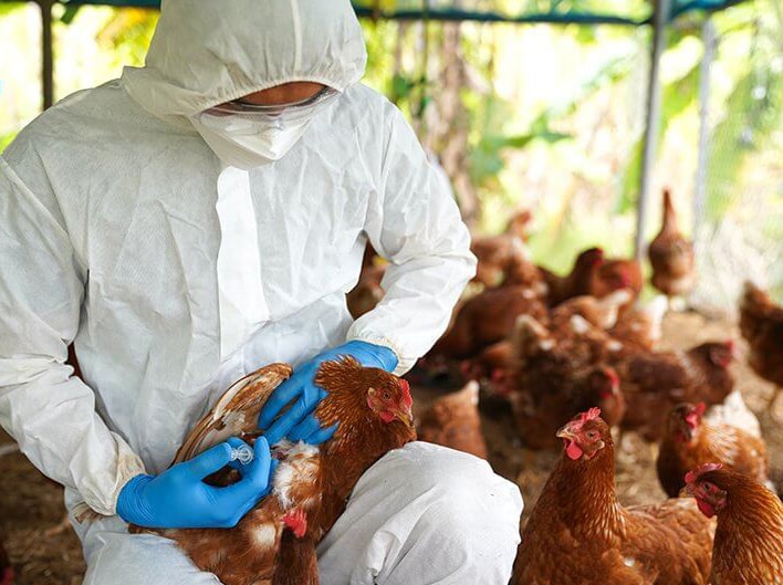 Không để việc sắp xếp tổ chức bộ máy ảnh hưởng đến phòng chống, kiểm soát dịch bệnh