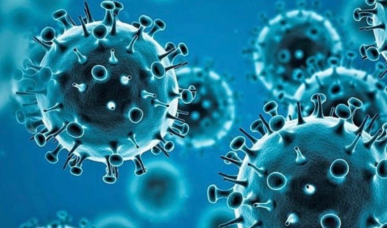 WHO thông tin về căn bệnh ho ra máu ở Nga