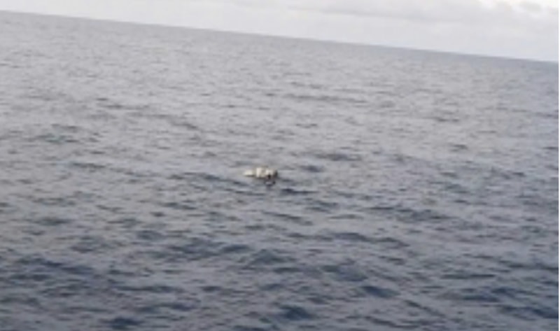 Phát hiện thi thể nghi là thuyền viên mất tích trong vụ chìm tàu cá tại Nghệ An