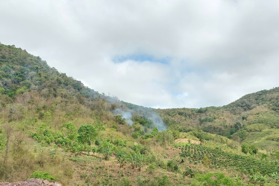 Tây Nguyên căng mình bảo vệ rừng trước nguy cơ “giặc lửa”