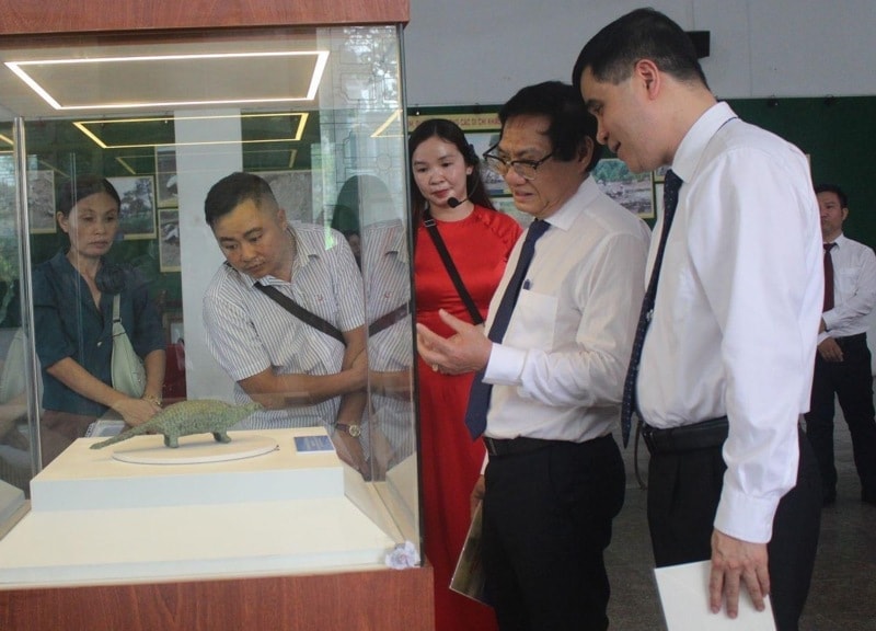 Tượng đồng tê tê Long Giao - đỉnh cao nghệ thuật luyện kim thời sơ kỳ đồ sắt