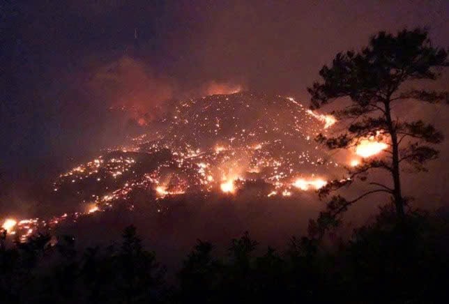 Quảng Ninh: Xác định nguyên nhân 2 vụ cháy rừng tại 2 địa phương