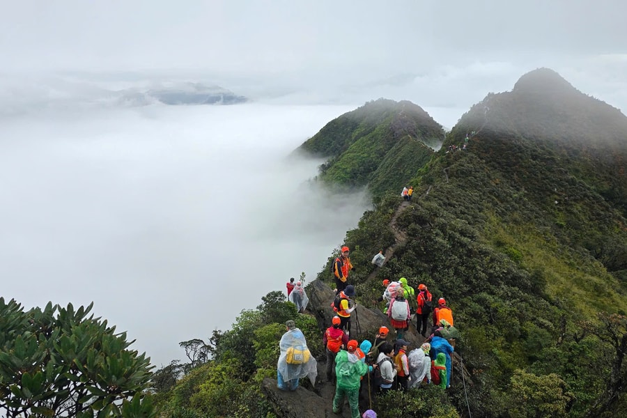 Một nhà báo chinh phục đỉnh Tà Xùa cao trên 2800m trong 2 giờ 15 phút