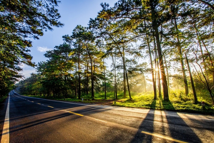 Măng Đen kín chỗ dịp nghỉ lễ 30/4-1/5