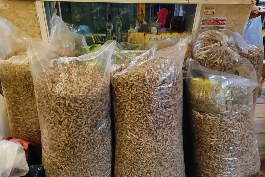 Gia Lai: Người dân đổ xô đi nhặt xác ve sầu, bán với giá gần 2 triệu đồng/kg