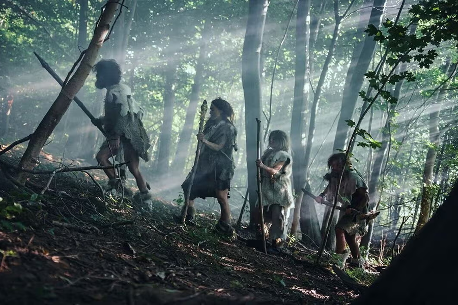 Vì sao tổ tiên loài người ăn thực vật nhiều hơn thịt?