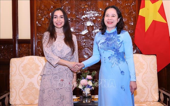 Phó Chủ tịch nước Võ Thị Ánh Xuân tiếp Phó Chủ tịch Quỹ Heydar Aliyev