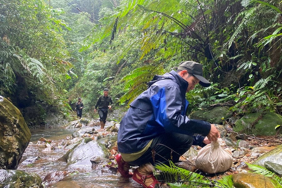 Trung tâm bảo tồn động vật hoang dã thả 12 cá thể Tê tê Java về tự nhiên