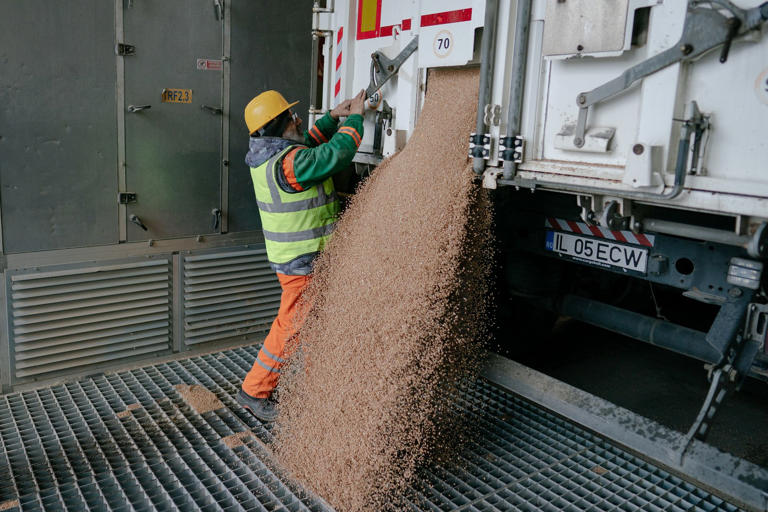 Nga khai trương tuyến đường thương mại hàng hải, hướng tới thị trường Châu Phi