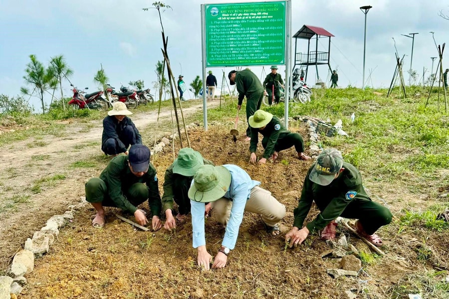 Trồng hơn 10.000 cây hoa trên đỉnh núi Hòn Vượn, nâng cao nhận thức về ý nghĩa của việc trồng cây bảo vệ môi trường