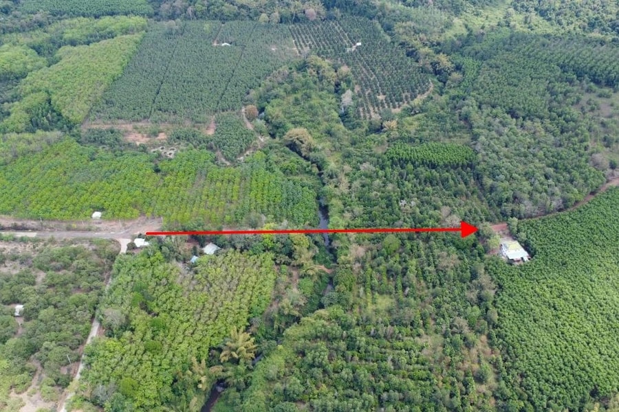 Rà soát điều ước quốc tế khi làm đường kết nối Bình Phước - Đồng Nai qua cầu Mã Đà