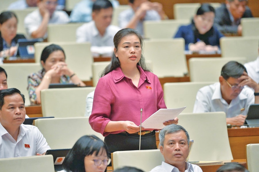 Đề nghị quy định cấm sử dụng hóa chất độc hại tác động trực tiếp lên giống cây trồng