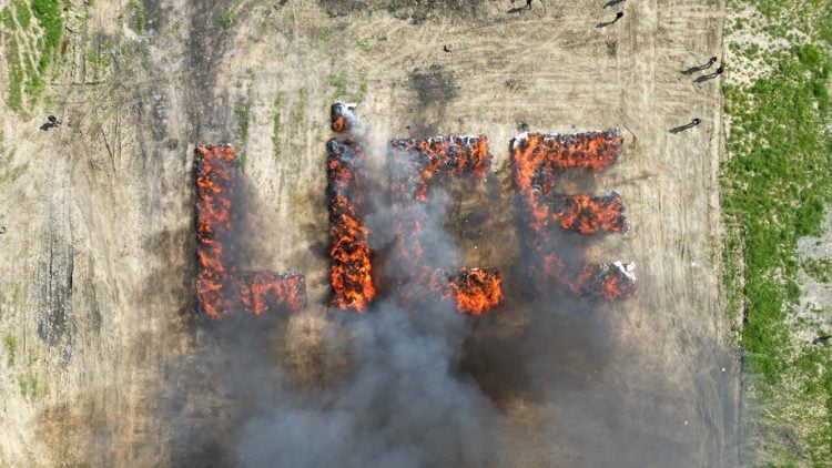 Cả thị trấn Thổ Nhĩ Kỳ phải hít cần sa bị tiêu hủy