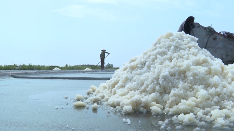 Thái Bình: Nghề làm muối xã Thụy Hải là di sản văn hóa phi vật thể quốc gia