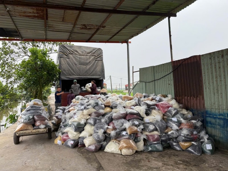 Khởi tố loạt cán bộ Bộ Y tế liên quan vụ án sản xuất, buôn bán hàng giả