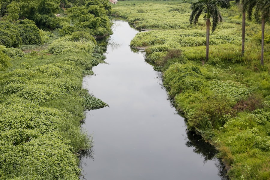Dòng sông Đáy: Từ dòng sông thơ mộng đến nỗi đau hiện thực
