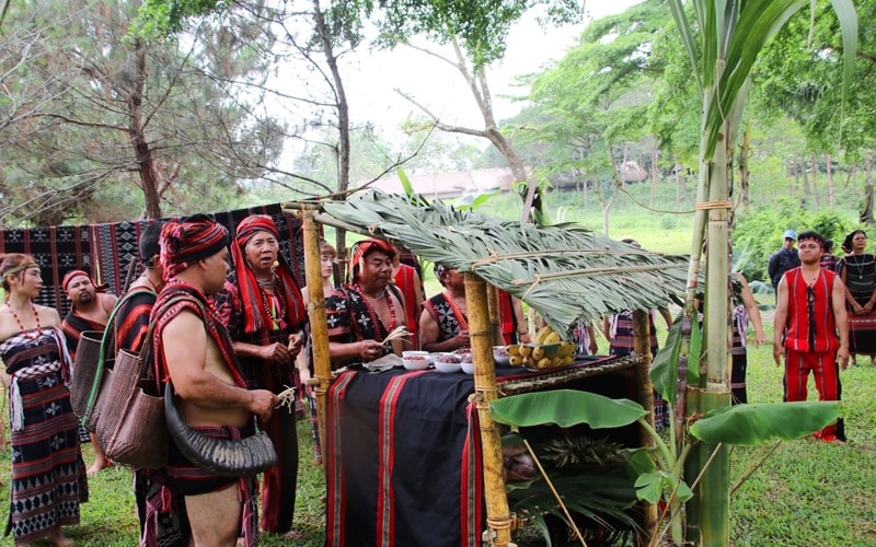 Đặc sắc lễ hội cúng thần núi, cúng thần rừng của người Cơ Tu
