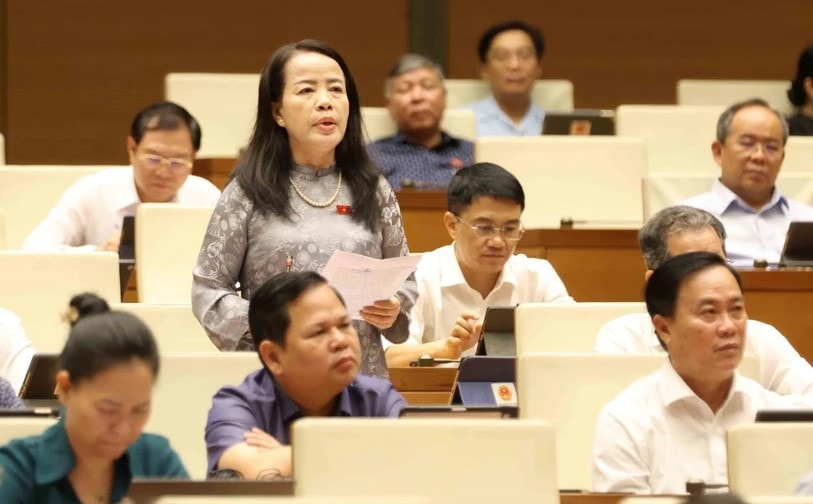 Ngày 21/5, Quốc hội thảo luận về dự án Luật Bầu cử Quốc hội (sửa đổi)