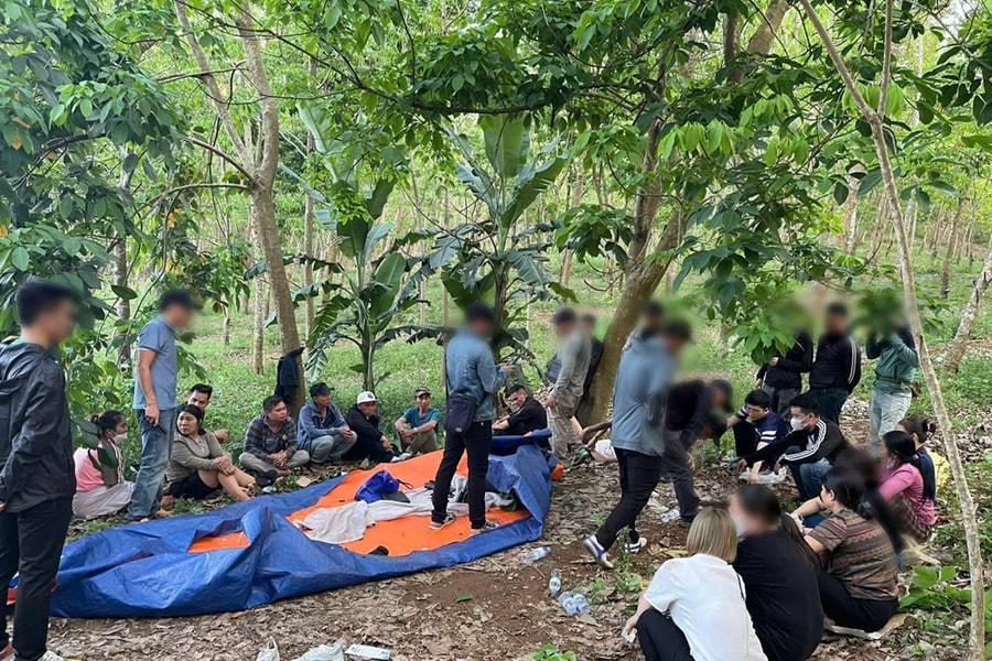 Triệt phá sòng bạc trong rừng với nhiều đối tượng tiền án tại Nghệ An