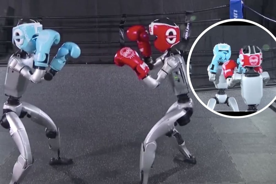 Xem robot thi đấu quyền anh trước thềm giải đấu ở Trung Quốc