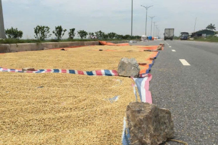 Thanh Hoá: Cảnh báo nguy cơ mất an toàn giao thông vào mùa thu hoạch nông sản