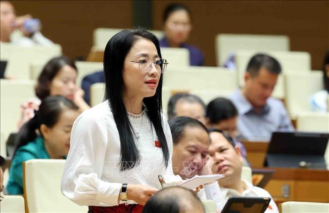 Đại biểu Quốc hội đề xuất giám sát chặt giá bán khi giảm thuế VAT