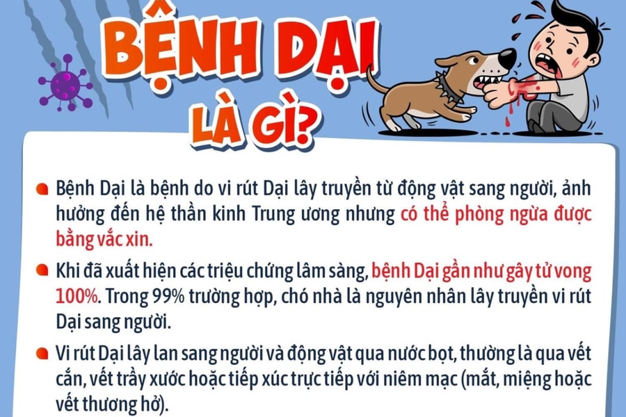 Những thông tin cha mẹ cần biết về bệnh dại để bảo vệ con
