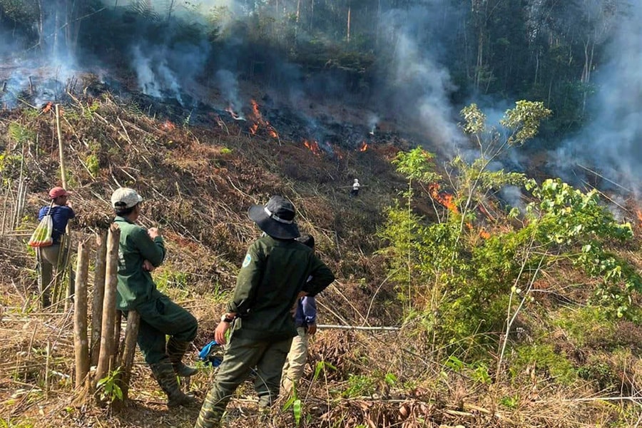 Miền Trung tăng cường cảnh báo sớm, chủ động ứng phó nguy cơ cháy rừng do nắng nóng cực đoan