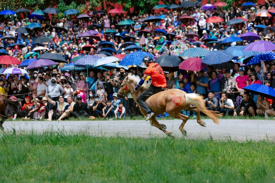 Giải đua ngựa Bắc Hà: 32 'kỵ mã nông dân' khuấy động cao nguyên trắng