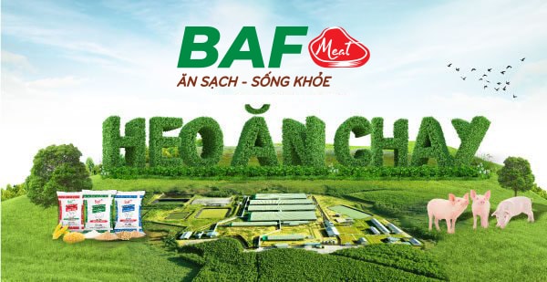 BaF Việt Nam bán lại công ty sở hữu 7.500 heo nái sau chưa đầy 4 tháng: Thương vụ M&A dở dang?