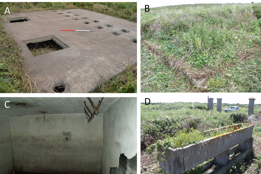 Phim tài liệu hé lộ lính Đức Quốc xã từng bắn tù nhân để giải trí