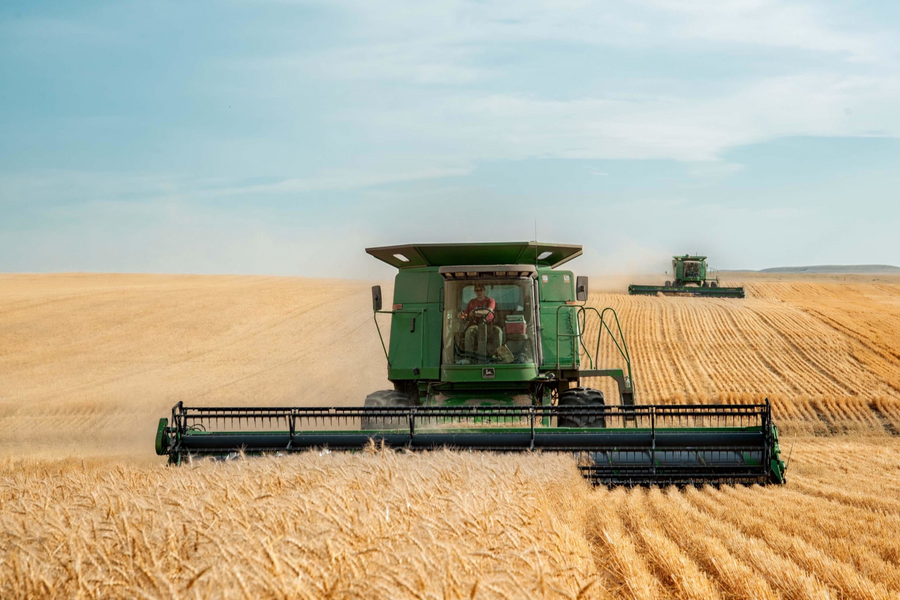 ‏Nga chiếm thị phần lúa mì của Ukraine tại châu Á và châu Phi‏