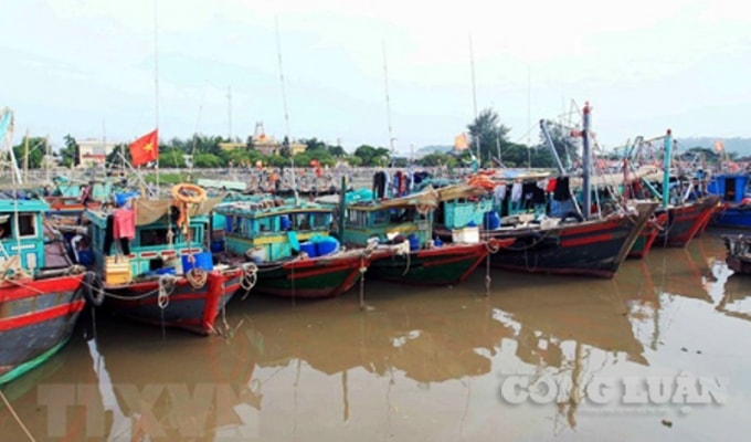 Đà Nẵng, Quảng Ngãi, Gia Lai được yêu cầu kêu gọi khẩn cấp ngư dân vào bờ tránh trú