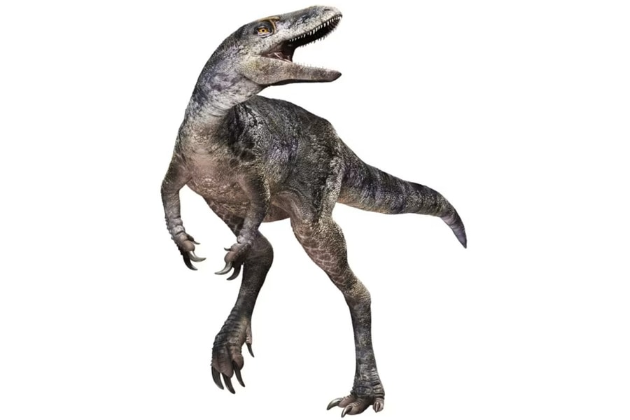 Khám phá mới làm sáng tỏ nguồn gốc của khủng long bạo chúa