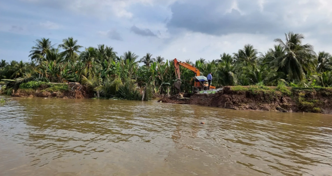Trà Vinh: Sạt lở khẩn cấp trên cồn Hô giữa sông Cổ Chiên