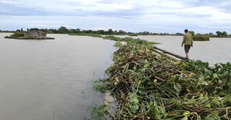 Quảng Trị: Người đàn ông tử vong khi đi tìm vịt giữa đồng ngập nước