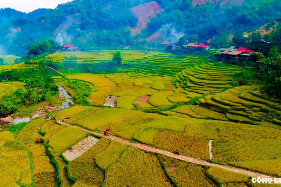 Ngắm những cánh đồng lúa chín vàng ở Pù Luông, Thanh Hóa