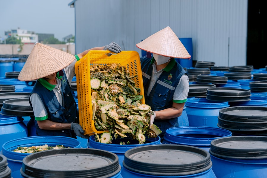 Startup Việt biến rác thải thành vàng: Bí mật từ vỏ dứa